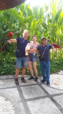 Made-wirnaya-driver1