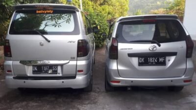 Made-wirnaya-driver9