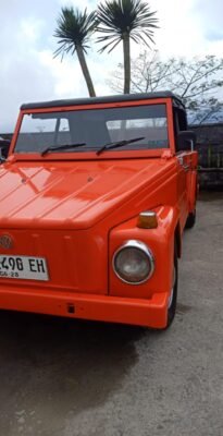 I-nyoman-gentas-driver-bali1