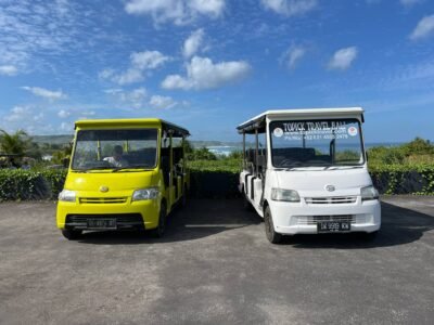 I-wayan-topik-nusa-putra1