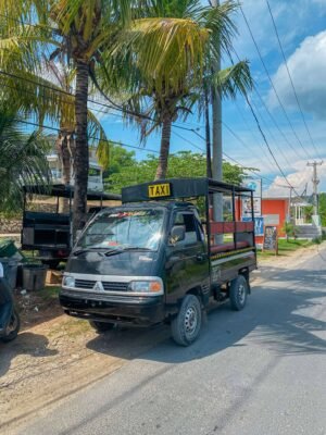 Kadek-lembongan-driver