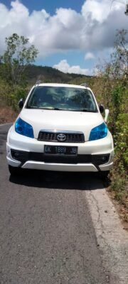 Made-jana-nusa-penida-driver5